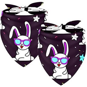 2 Pack Hond Bandana Meisje Jongen Huisdier Slabbetjes Hond Sjaal Hoofddoek Wasbare Bandana's Accessoires Voor Kleine Middelgrote Honden Puppy Kat, Kleurrijke Zonnebril Linten Met Sterren