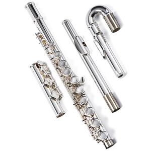 Professionele Fluitset Verzilverde koperen fluit 16 gesloten gaten plus E-sleutel dubbel mondstuk C-tooninstrument