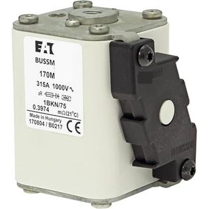 Originele zekering 170M4921