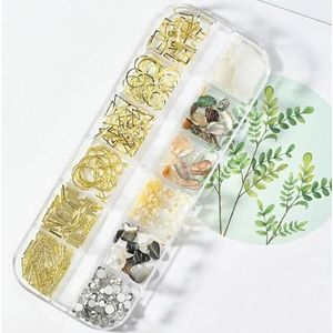 12 roosters/doos onregelmatige abalone natuurlijke schelp nagelvlokken 3D Aurora nagel schelp vlokken DIY 1 * doos manicure natuurlijke abalone schelp-PH034