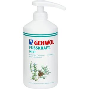 GEHWOL FUSSKRAFT MINT Cooling voetbalsem kit/Snel opgenomen, mint vers/Grote Salon Maat 0,5L 500ml / Grootste op Amazon/Wordt geleverd met conserveermiddel/Dermatologisch getest/Made in Germany