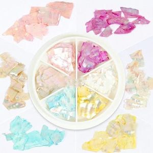 6 kleuren nagels abalone schelp fragmenten textuur natuurlijke schelp 3d charme nagelkunst decoratie plak doe-het-zelf nieuwe-B stijl