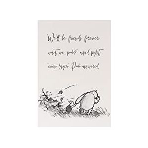 Sawfish® Winnie The Pooh metalen bord muur plaquette foto voor badkamer 6x8 ″