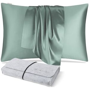 DISANGNI 100% natuurlijke moerbeizijde kussensloop voor haar en huid met verborgen rits, 22 momme beide zijden kussensloop van echte zijde (1 stuk 40 x 70 cm, lichtgroen)