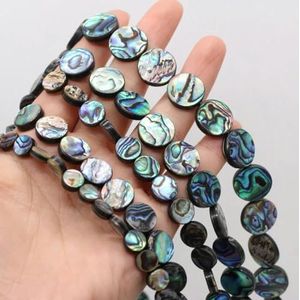 5 stuks natuurlijke schelp kralen munt abalone schelp losse kralen voor sieraden maken DIY charmes ketting armband accessoires-wit-15mm