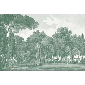 fotobehang bos groen 424 x 280 cm - van Sanders & Sanders