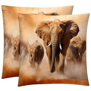 Kussenslopen, kussensloop, boerderij kussenslopen, Afrikaanse olifant dier kussenslopen 18x18 inch, 2-st
