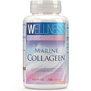 WELLNESS OPTI Zuiver gehydrolyseerd zeecollageen, 120 capsules, revitaliserende peptiden voor een stralende huid en een sterke lichaamsstructuur, geavanceerde formule van 400 mg voor dagelijks gebruik