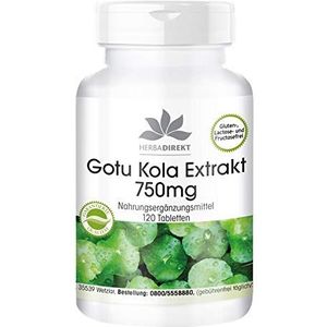 Gotu Kola 750mg - hoog gedoseerd extract - veganistisch - 120 tabletten - met zink en vitamine C | HERBADIREKT by Warnke Vitalstoffe - Duitse apothekerskwalitei