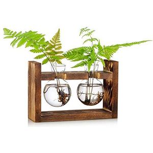 Voortplantingsstation 2 stuks bolle vaas glazen zoete erwt vaas voor bloemen terrarium vaas planter met houten rack standhouders voor groene water planten geschikt voor thuis, keuken, tafel, bureau binnendecoratie