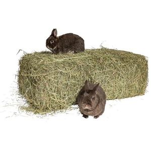 agrar-Store hooi 10 kg hooibalen weidehooi konijnenhooi caviahooi stro