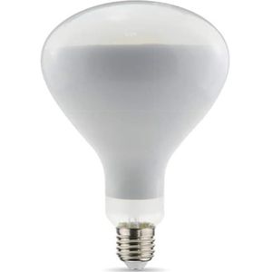DL DAYLIGHTITALIA Reservelamp voor Parentesi Flos Filament LED R125 13W E27 2700K glanzend dimbaar