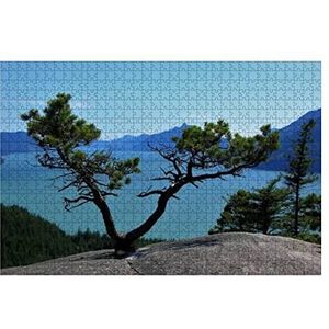 Puzzel 1000 stukjes, Av Formiger Boom, die uit een rots groeit, met Howe Sound op de achtergrond, puzzelsets, decompressie, familiespelletjes, dieren, puzzels, jongeren, bijzondere puzzel voor