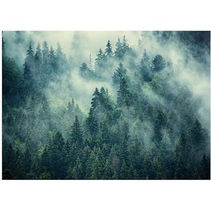 Fotobehang bos in mist, bomen, natuur, groen, 100 x 75 cm, incl. lijm, voor woonkamer, slaapkamer, hal, modern, vliesbehang, vliesbehang, wandbehang, motiefbehang, uv-bestendig