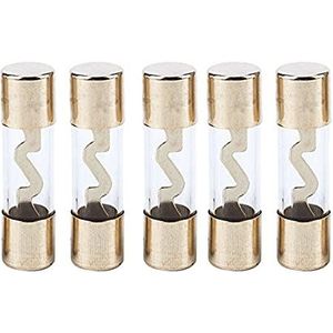 GJZIFGFWQ 5 stuks autoversterkerzekeringen 40 A AMP AGU Vergulde zekering