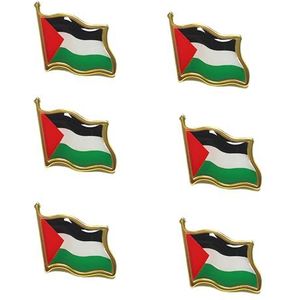 Palestijnse vlag pin-badge, Unisex Palestina National Pin, Metalen Palestijnse nationale reversspeld, Palestina National Enamel Badge Armband om uw steun te tonen, Metaal