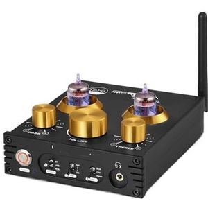 Ventielvoorversterker P1 HiFi 5654 Audio Receiver 5.0 U DAC versterker voor hoofdtelefoon X