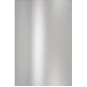 Netuno 10 parelmoer zilver 120g papier A4 210x297mm Aster Metallic Silver fijn glanzend effect voor bruiloft verjaardag kerst uitnodigingen