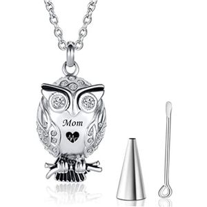 SASHUN XLIAN326 roestvrij staal uil dier crematie urn ketting voor as kristal memorial aandenken hanger sieraden voor papa moeder aangepaste naam huisdier memorial (metalen kleur: moeder)