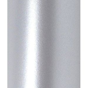 Syntego A4 bloemblaadjes, dubbelzijdig parelglanspapier, 120 g/m², geschikt voor inkjet- en laserprinters, 20 zilver