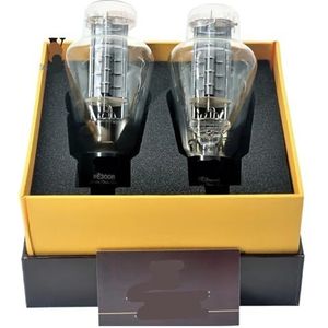 Tube WE300B WE 300B upgrade 300BT 300BN 4300B 7300B HIFI audio buis versterker (1 Paar Matched)