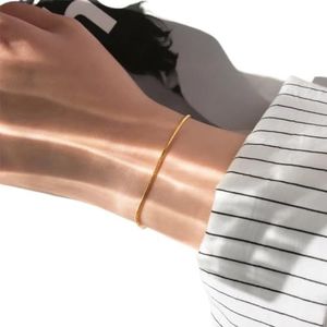 Roestvrij Staal Snake Chain Armband Voor Vrouwen Gouden Kleur Armbanden Charm Zomer 2022 Trends in Sieraden, Eén maat, 16,5 CM_GOUD KLEUR_2,5 MM, Agaat