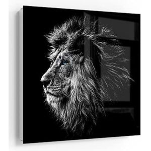 DEQORI Sleutelkast wit | 30x30 cm | motief Koning van de dieren in profiel | glas & metalen sleutelbox | Sleutelkast met 50 haken + 2 magneten | Modern design doos magnetisch & beschrijfbaar