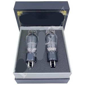 Tube WE2A3 1:1 2A3 upgrade 2A3C 2A3B HIFI audio buis versterker DIY (1 Paar Matched)