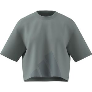 adidas Mujer ESSENTIALS BIG LOGO BOYFRIEND T-SHIRT, Wonder Sage/green earth, XXL