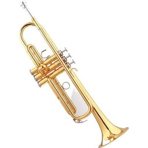 Bes Muziekinstrument Beginner Professioneel Spelen Trompet Lak Goudgraad Test studenten trompet