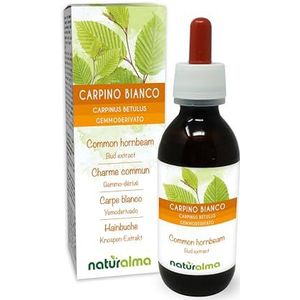 Haagbeuk (Carpinus betulus) Alcoholvrij extract van verse knoppen Naturalma - Vloeibaar extract druppels 120 ml - Voedingssupplement - Veganistisch