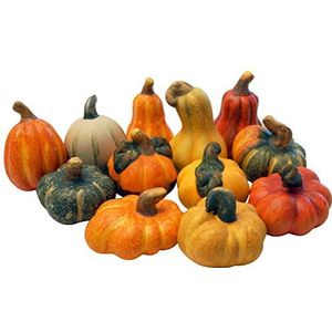 khevga Autumn Deco Ornamental Pumpkin Deco pompoenen gemaakt van terracotta, set van 12