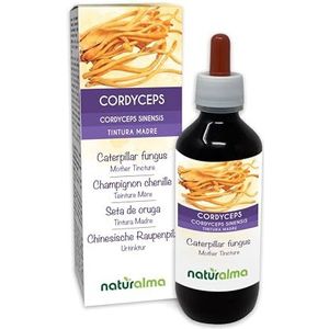 Cordyceps of Rupsenschimmel (Cordyceps sinensis of Ophiocordyceps sinensis) paddenstoel Alcoholvrije moedertinctuur Naturalma - Vloeibaar extract druppels 200 ml - Voedingssupplement - Veganistisch