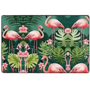 YJxoZH Roze Flamingo Print Home Decor Tapijten, Voor Woonkamer Keuken Antislip Vloer Tapijt Ultra Zachte Slaapkamer Tapijten