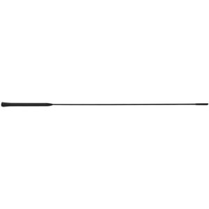 Audio- & videoantennes voor auto 55cm Antenne Dak AM/FM Autoradio Geschikt voor Ford Focus 2000-2007 Signaalantenne Versterkte Antenne Auto-antenne
