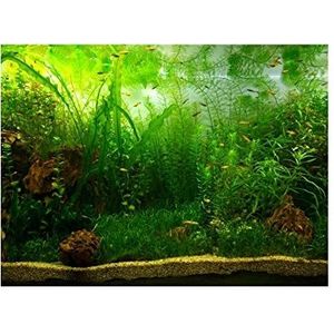 Hffheer Aquarium achtergrond poster groen water gras aquatic stijl vis tank achtergrond PVC zelfklevend decor papier vis tank behang sticker decoratie (61 x 41 cm)