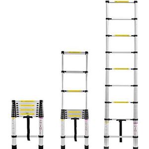Froadp 260cm Aluminium Telescopische Ladders Multifunctionele Leunladder Telescoopladder met 9 Trappen Scheve Ladder Gevouwen Hoogte 74cm Antislip Uitbreidbaar Ladder Laadvermogen 150KG (Zilver)