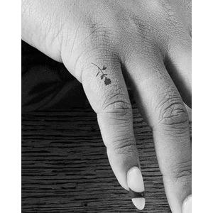 Inkbox Temporary Tattoos, Semi-Permanent Tattoo, One Premium Easy Long Lasting, Waterproof Temp Tattoo with For Now Ink - Lasts 1-2 Weeks, Rosinha, 1 x 1 in