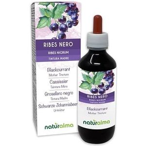 Zwarte bes (Ribes nigrum) bladeren en vruchten Alcoholvrije moedertinctuur Naturalma - Vloeibaar extract druppels 200 ml - Voedingssupplement - Veganistisch