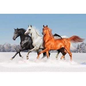 Renaiss 4.5x3m Sneeuwveld Paard achtergrond zwart wit bruin paard galop Run Fotografie achtergrond Cowboy Cowgirl Party decoratie behang volwassenen kind verjaardag portret fotostudio rekwisieten
