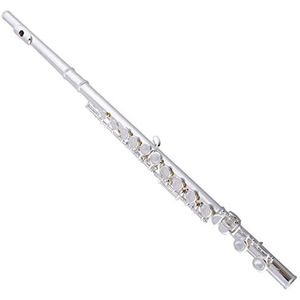 PECY Fluit Muziekinstrument 16/17 Opening En Sluiting Gat Verzilverd C-toets E-toets Voor Studenten Om Te Spelen Dwarsfluiten (Size : 17 open/closed)
