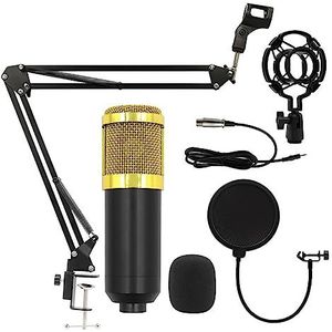 Geluidskaartset, Professionele condensatormicrofoonsets V8-geluidskaart Karaoke met microfoonstandaard Condensator USB-MIC Live streaming(BM800-01)