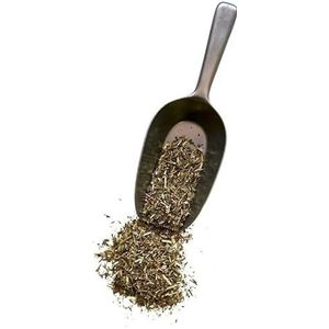 Frankrijk Kruidengeneeskunde Kruiden Calament Calamintha Officinalis Plant