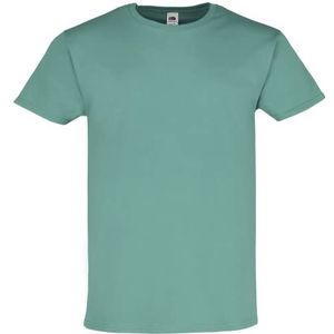 Fruit of the Loom Iconic 195 Ringspun Premium T Heren T-Shirt NEU, Kleur: sage, Maat: L, groen (salie), L