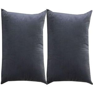 Kussenslopen Standaard King Queen Size set van 2, Velvet Kussen Covers Gooi Pillow Cover Pillowcase Protectors met rits Decoratieve Kussen Cover voor Sofa Kussen Bouch Bed (Color : Q, Size : 60x80cm