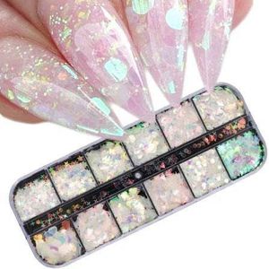 6/12 Grids/Set Onregelmatige Nagels Abalone Schelp Slice Natuurlijke Mica Steen Fragment Polish DIY Manicure Paillette Decoraties-12 Grids HW-1
