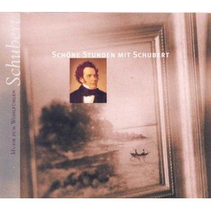 Le Romantisme De Schubert