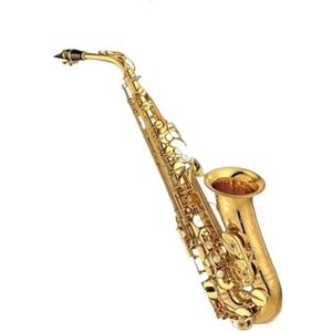 saxofoon kit Professioneel Altsaxofoon Messing Vergulde Knop Altsax Muziekinstrument