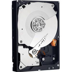 Western Digital Kaviaar Blauwe 750GB SATAIII 6Gb/s 32MB Cache 3.5 Inch Interne Harde Schijf - OEM