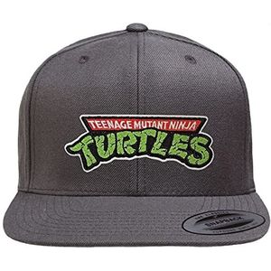 Teenage Mutant Ninja Turtles Officieel gelicenseerd TMNT Logo Premium Snapback Cap (Donker grijs), One size